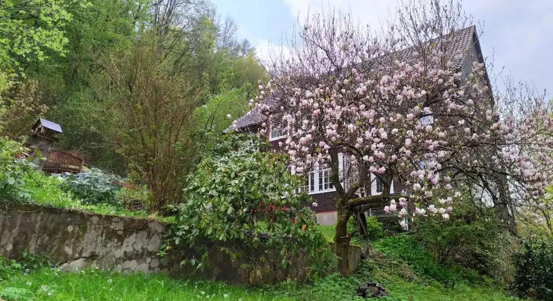 Haus Am Wald Zorge 16+ Gaeste Walkenried エクステリア 写真