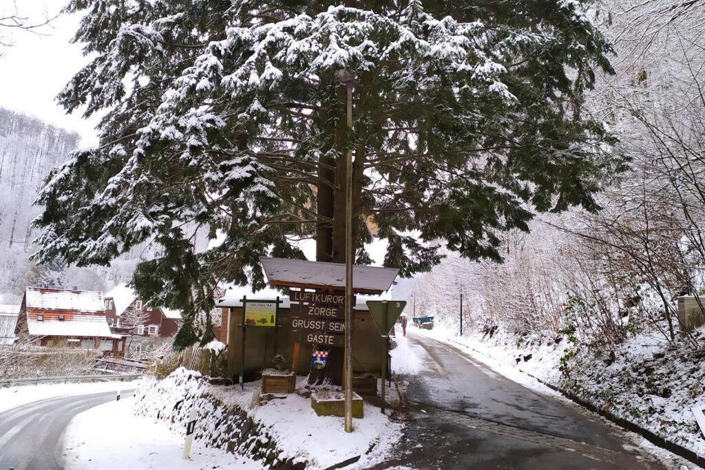 Haus Am Wald Zorge 16+ Gaeste Walkenried エクステリア 写真