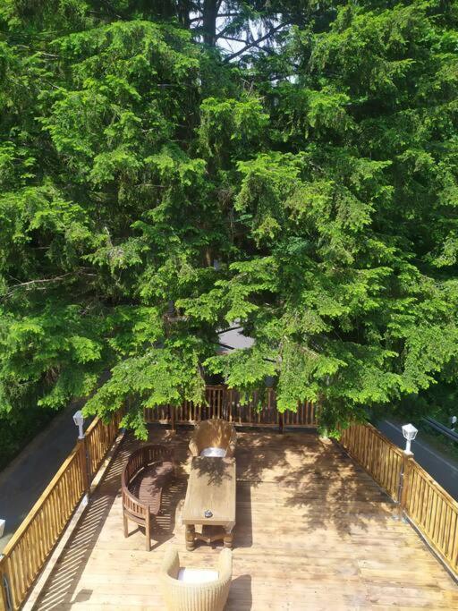 Haus Am Wald Zorge 16+ Gaeste Walkenried エクステリア 写真