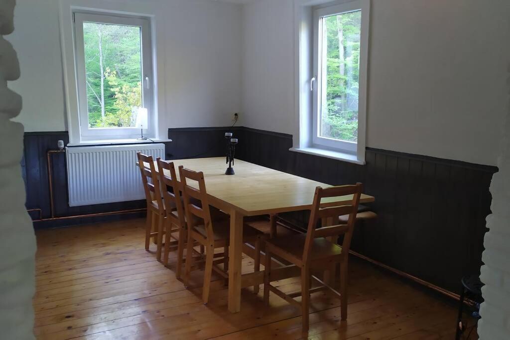 Haus Am Wald Zorge 16+ Gaeste Walkenried エクステリア 写真